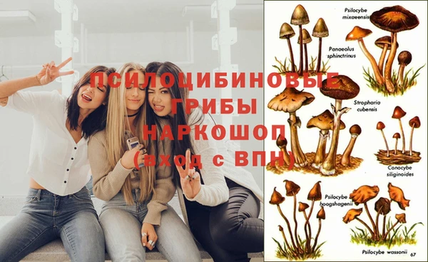 хмурый Лиски