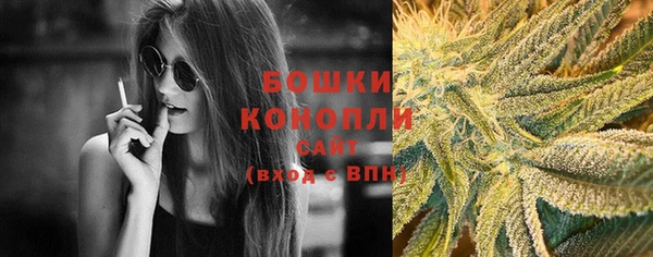 хмурый Лиски