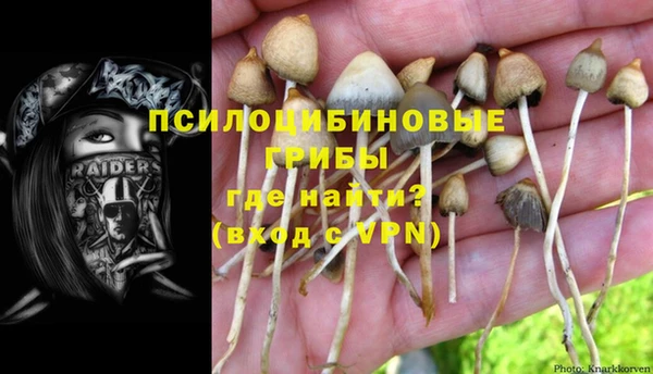 ешки Липки