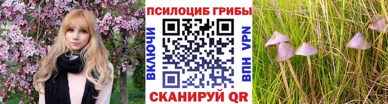 Галлюциногенные грибы прущие грибы  цена   Южно-Сухокумск 