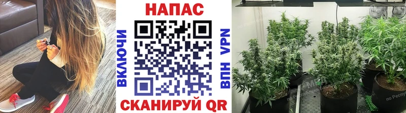 ссылка на мегу маркетплейс  как найти закладки  Южно-Сухокумск  Бошки Шишки тримм 